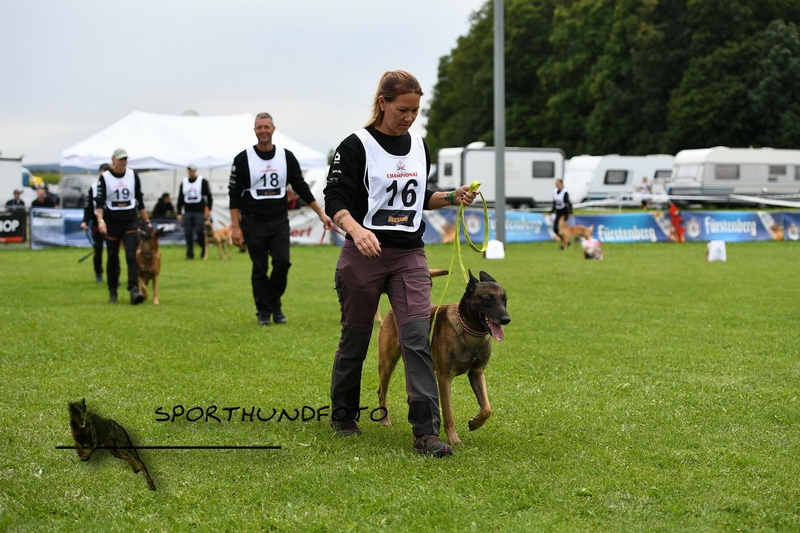 Impressionen 668.jpg